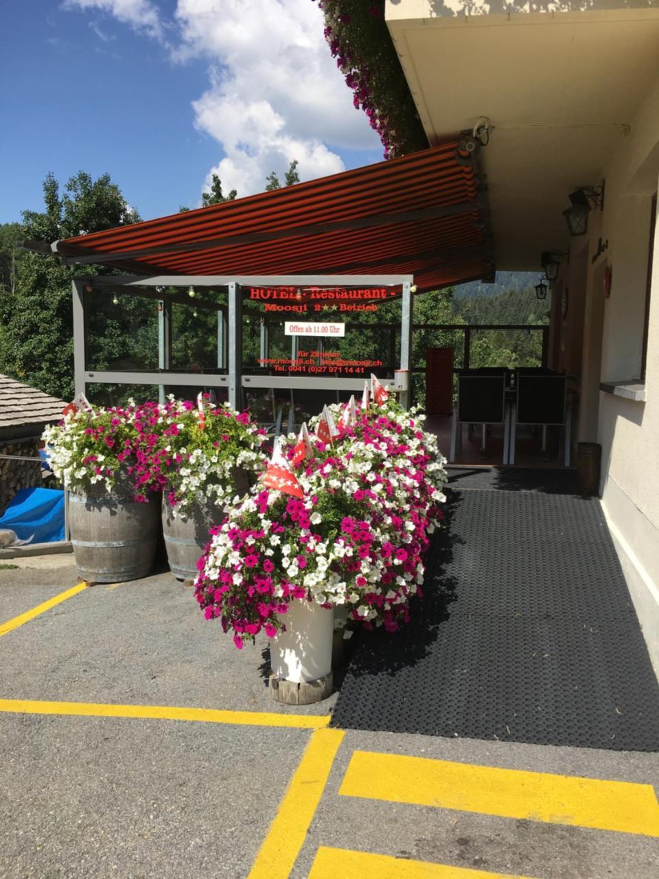Hotel Haus Muehlebach Ernen Экстерьер фото